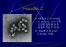 Hepatitis C 2페이지