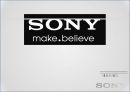  소니(sony) 기업분석, swot분석, 경쟁사분석 2페이지