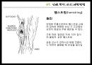 프로야구선수 손상 및 재활 치료 운동프로그램 - 야구 선수 (타자) 부상 및 처치방법.pptx 29페이지