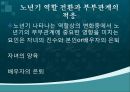  노년기 사회관계망(부부관계) 6페이지