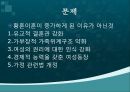  노년기 사회관계망(부부관계) 14페이지