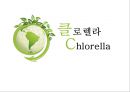 [병리학] 클로렐라[Chlorella]에 관해서.pptx 1페이지