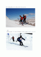  스키 레포트 10페이지
