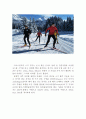  스키 레포트 13페이지