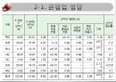 국제회계기준(IFRS) 금융산업에서의 영향 분석 14페이지