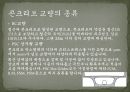 [토목 시공] 교량의 종류와 시공법.pptx 23페이지