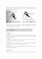 [체육학] 스키(Ski)의 과학적 원리 9페이지