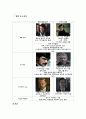 [이야기와 미디어] 소설 ‘셜록 홈즈’를 이용한 영상화 성공 & 실패 사례 분석 3페이지