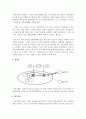 사회복지실천현장에서 개인을 대상으로 사회복지실천개입과정 절차에 기초하여 직접서비스를 한 실제사례를 반드시 다음 내용을 포함하여 작성 3페이지