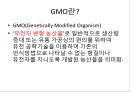 [A+자료]GMO, LMO에 관한 조별과제, GMO의 장점 단점, LMO의 장점 단점, 사례, GMO 현황, 유전자 변형 방법 4페이지