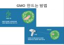 [A+자료]GMO, LMO에 관한 조별과제, GMO의 장점 단점, LMO의 장점 단점, 사례, GMO 현황, 유전자 변형 방법 8페이지