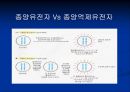 [A+자료] 암에 관한 조별과제, Cancer 특 A++ 자료, 암유전자에 관해 12페이지