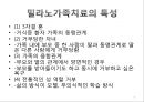 밀라노 가족치료 ppt 자료 4페이지