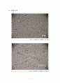  Al-Si 주조 합금 제조 후 조직 관찰 및 경도 측정에 관한 실험 보고서 7페이지