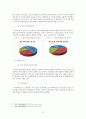  이랜드(E-LAND)를 중심으로 한 국제경영론적 분석 18페이지