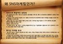  SNS마케팅의 장점과 사례연구 4페이지