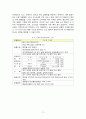 진에어(Jin Air) 기업 마케팅전략분석과 진에어 경영분석 및 진에어 단점극복위한 방안제안 (vs 제주항공 전략과 비교분석) 13페이지