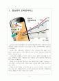 [모바일 홈쇼핑] 모바일 쇼핑 증가에 따른 영향과 전망 보고서 3페이지