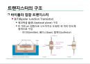 전자 회로실험 - 트랜지스터 특성 실험 3페이지
