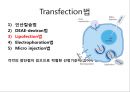 2013 세포배양학(기말 자료).pptx 21페이지