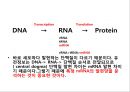 2013 세포배양학(기말 자료).pptx 39페이지