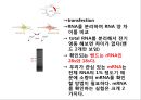 2013 세포배양학(기말 자료).pptx 40페이지