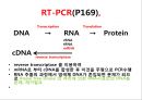 2013 세포배양학(기말 자료).pptx 41페이지