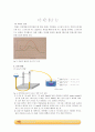  화학반응속도와 촉매의 영향 관계 실험 예비 3페이지