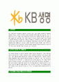 [KB생명-최신공채합격자기소개서] KB생명자소서,KB생명자기소개서,KB생명자소서,KB자기소개서,KB생명보험자소서,KB생명 3페이지