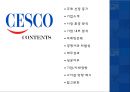  세스코 CESCO 기업분석과 세스코 마케팅 SWOT,STP,4P전략분석및 세스코가 나아가야할 방향제시  2페이지