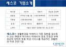  세스코 CESCO 기업분석과 세스코 마케팅 SWOT,STP,4P전략분석및 세스코가 나아가야할 방향제시  5페이지