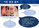  세스코 CESCO 기업분석과 세스코 마케팅 SWOT,STP,4P전략분석및 세스코가 나아가야할 방향제시  10페이지