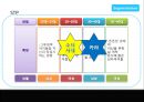  SM엔터테인먼트 VS DSP미디어(소녀시대VS카라) 일본시장진출 마케팅전략 비교분석  10페이지