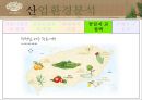 이니스프리 (innisfree) 기업분석과 이니스프리 마케팅전략.PPT자료 30페이지