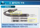 골격근의 생체역학 (근육힘줄단위의 활동특성, 골격근의 구조, 골격근의 기능, 근력생성에 영향을 미치는 요인, 근력, 근파워 및 근지구력, 일반적 근육의 손상).pptx 7페이지