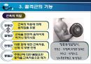 골격근의 생체역학 (근육힘줄단위의 활동특성, 골격근의 구조, 골격근의 기능, 근력생성에 영향을 미치는 요인, 근력, 근파워 및 근지구력, 일반적 근육의 손상).pptx 20페이지