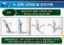 골격근의 생체역학 (근육힘줄단위의 활동특성, 골격근의 구조, 골격근의 기능, 근력생성에 영향을 미치는 요인, 근력, 근파워 및 근지구력, 일반적 근육의 손상).pptx 27페이지