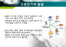 인간행동과 사회환경 - 성인기에 관해서 12페이지