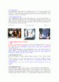 애니메이션 - 애니메이션의 종류와 제작의 특성 3페이지