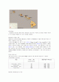 커피 - 커피와 관련된 나라들 (브라질, 콜롬비아, 멕시코, 과테말라, 코스타리카, 쿠바, 자메이카, 푸에르토리코, 하와이, 인도네시아, 베트남, 예멘, 이디오피아, 케냐, 탄자니아, 베트남 근대사와 터키) 27페이지