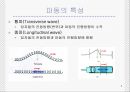 일반물리 - 역학적 파동에 관해서 5페이지