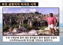 [세계음식문화] 세계에서 세 번째로 작은 나라, 가장 작은 섬, 나우루 (Nauru) - 왜 비만의 나라가 되었는가?.pptx 11페이지