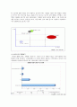 HJC 홍진크라운 기업분석 및 홍진크라운 마케팅사례분석 및 해외진출전략분석과 홍진크라운 새로운 마케팅전략제안, 나의 의견 6페이지