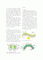 플렉서블 디스플레이 기술의 특징과 동향 및 전망  6페이지