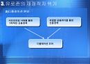 유로화,유로화협약과현황,유로존의재정적자위기,유로존위기,유럽발금융위기 9페이지