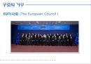 유럽연합 (EU),유럽연합 소개, 역사, 구조와 기구, 정책, 의의, 한계 15페이지