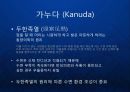 [KANUDA] 기능성 물리치료 베개의 블루오션을 개척한 가누다(Kanuda) 브랜드 발표.ppt 2페이지