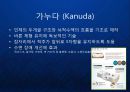 [KANUDA] 기능성 물리치료 베개의 블루오션을 개척한 가누다(Kanuda) 브랜드 발표.ppt 3페이지