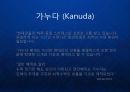 [KANUDA] 기능성 물리치료 베개의 블루오션을 개척한 가누다(Kanuda) 브랜드 발표.ppt 5페이지