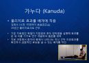 [KANUDA] 기능성 물리치료 베개의 블루오션을 개척한 가누다(Kanuda) 브랜드 발표.ppt 6페이지